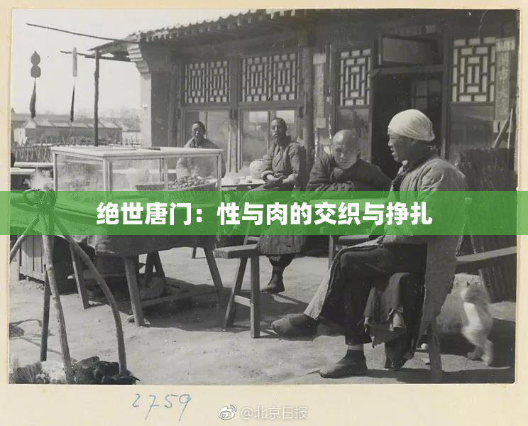 绝世唐门：性与肉的交织与挣扎