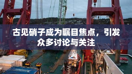 古见硝子成为瞩目焦点，引发众多讨论与关注