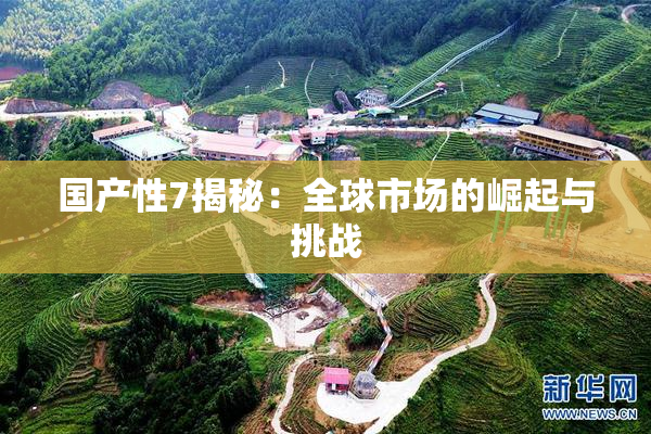国产性7揭秘：全球市场的崛起与挑战