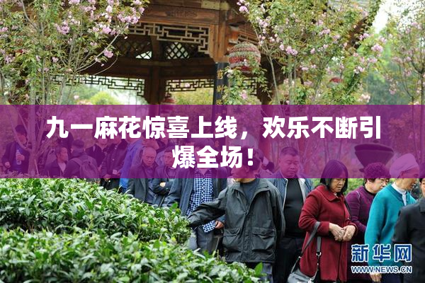 九一麻花惊喜上线，欢乐不断引爆全场！