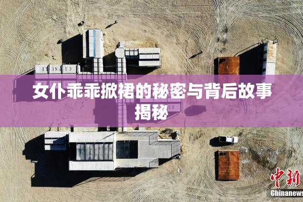 女仆乖乖掀裙的秘密与背后故事揭秘