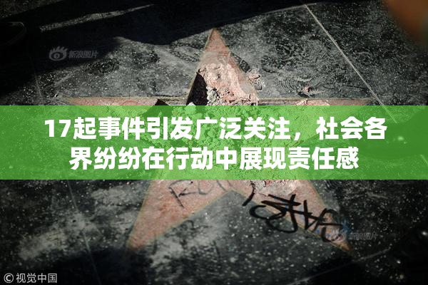17起事件引发广泛关注，社会各界纷纷在行动中展现责任感