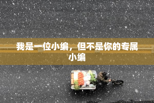 我是一位小编，但不是你的专属小编