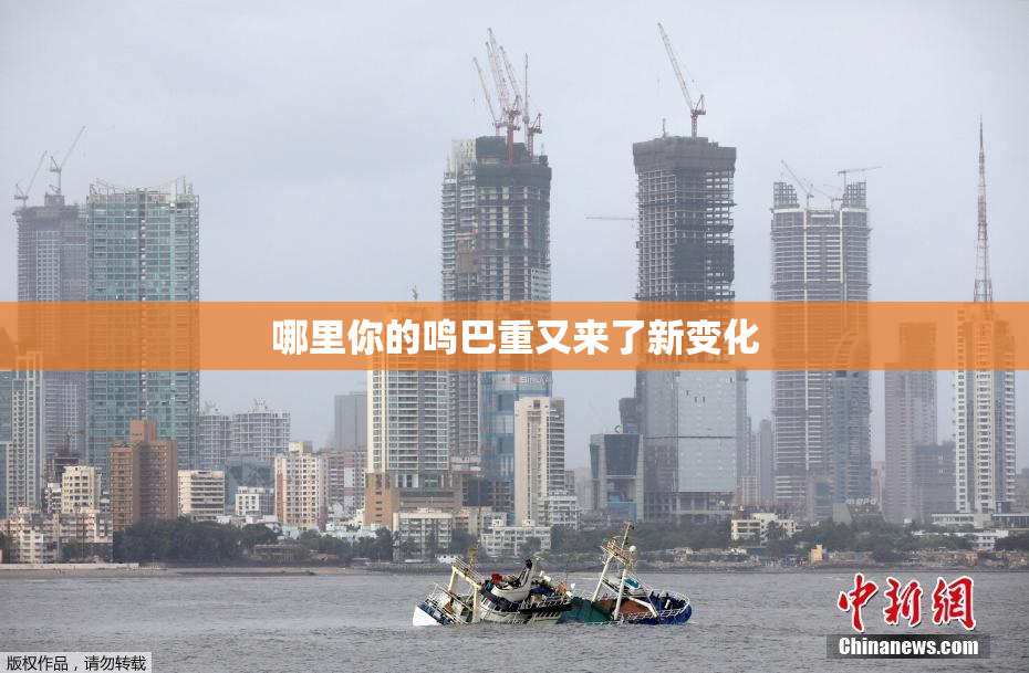 哪里你的鸣巴重又来了新变化