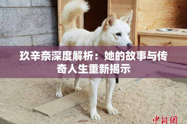 玖辛奈深度解析：她的故事与传奇人生重新揭示