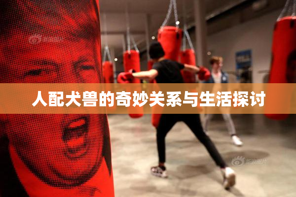 人配犬兽的奇妙关系与生活探讨