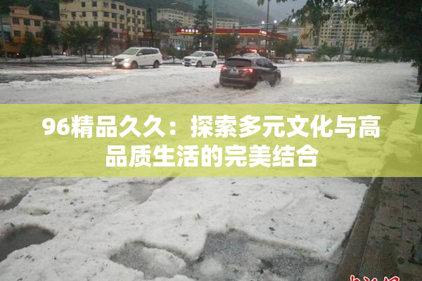 96精品久久：探索多元文化与高品质生活的完美结合
