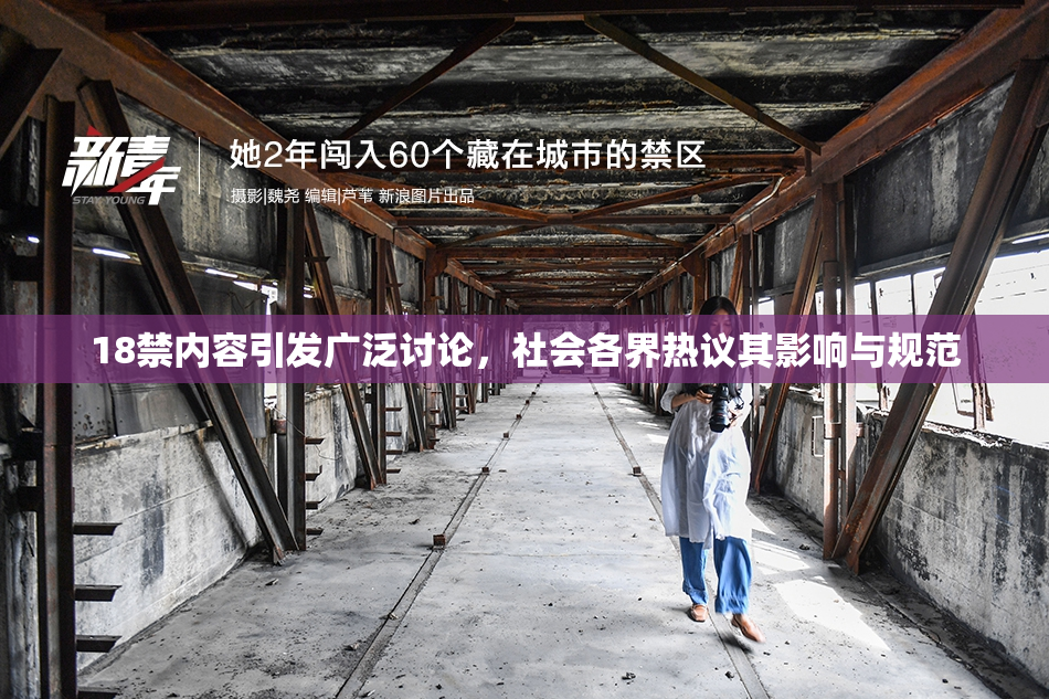 18禁内容引发广泛讨论，社会各界热议其影响与规范