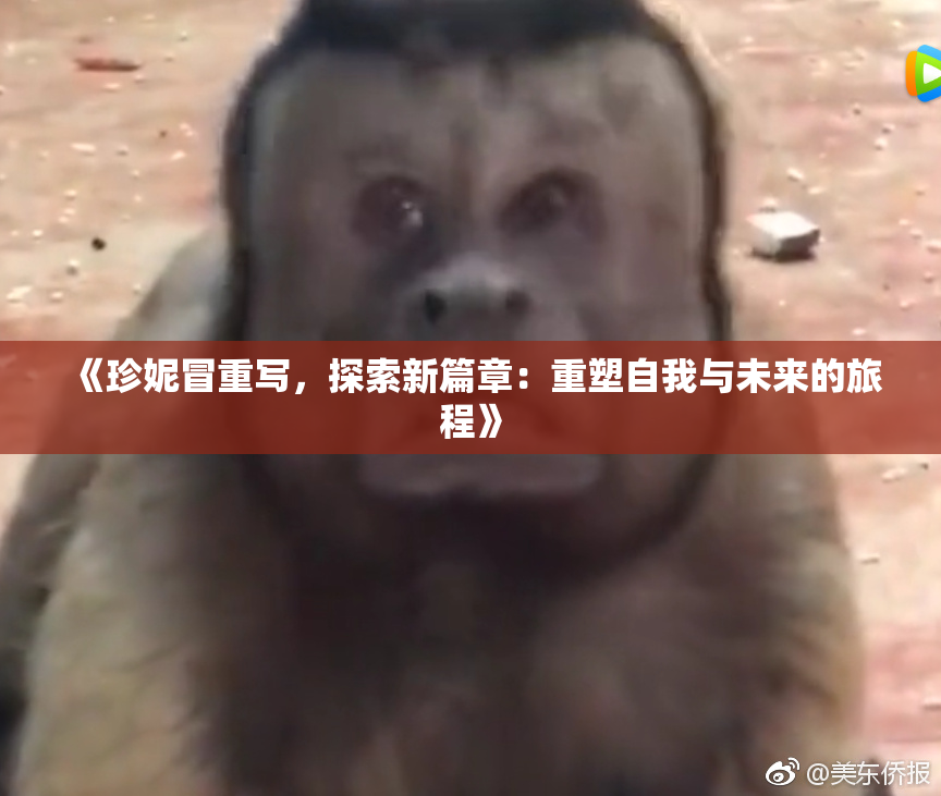 《珍妮冒重写，探索新篇章：重塑自我与未来的旅程》