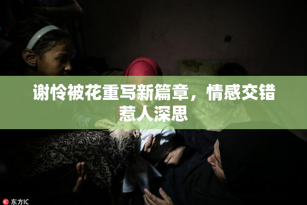 谢怜被花重写新篇章，情感交错惹人深思