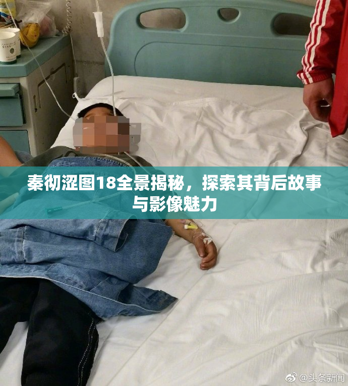 秦彻涩图18全景揭秘，探索其背后故事与影像魅力