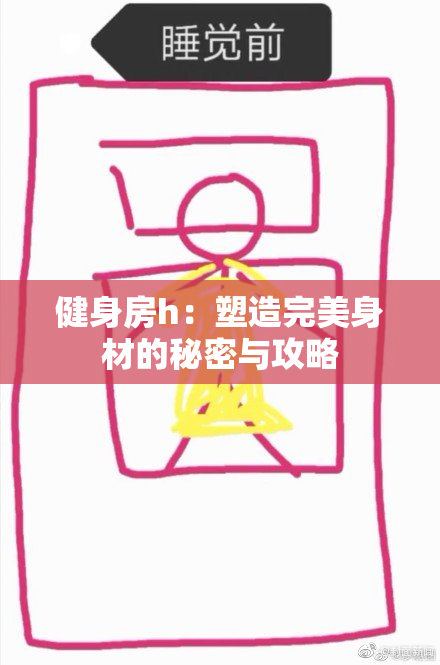 健身房h：塑造完美身材的秘密与攻略