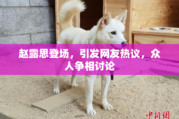 赵露思登场，引发网友热议，众人争相讨论