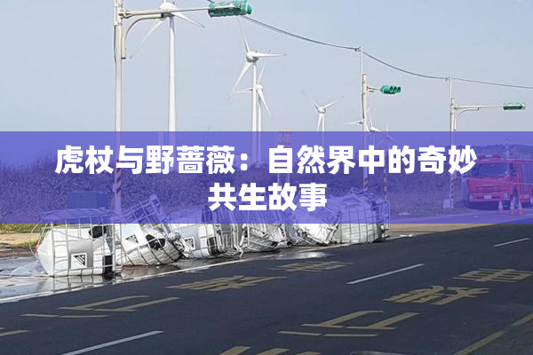 虎杖与野蔷薇：自然界中的奇妙共生故事