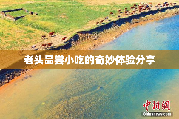 老头品尝小吃的奇妙体验分享