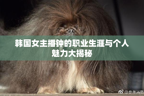 韩国女主播钟的职业生涯与个人魅力大揭秘