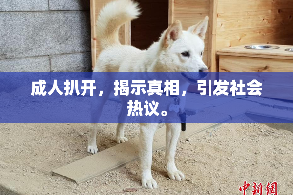 成人扒开，揭示真相，引发社会热议。