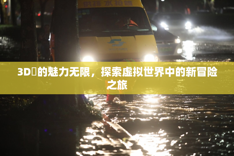 3D姉的魅力无限，探索虚拟世界中的新冒险之旅
