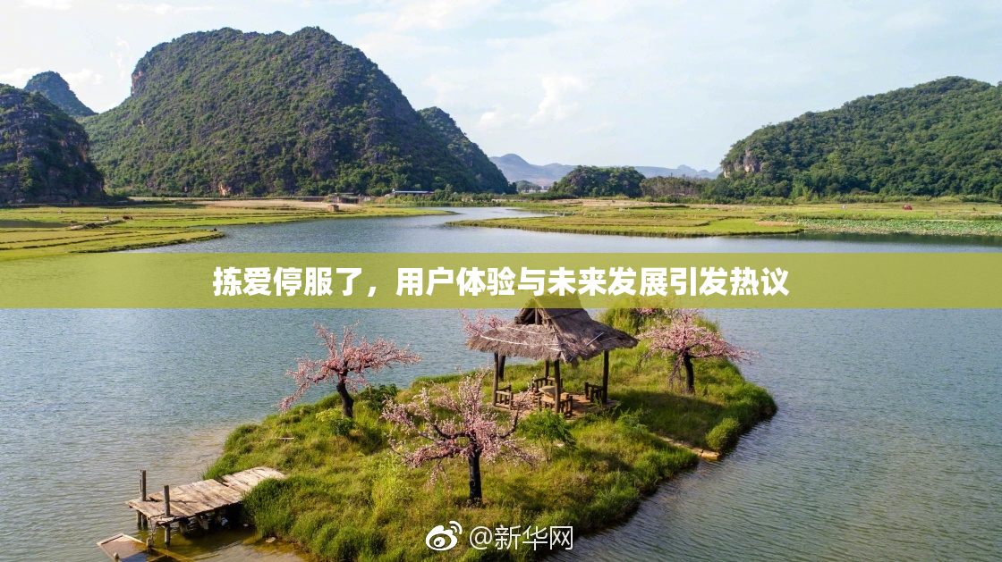 拣爱停服了，用户体验与未来发展引发热议