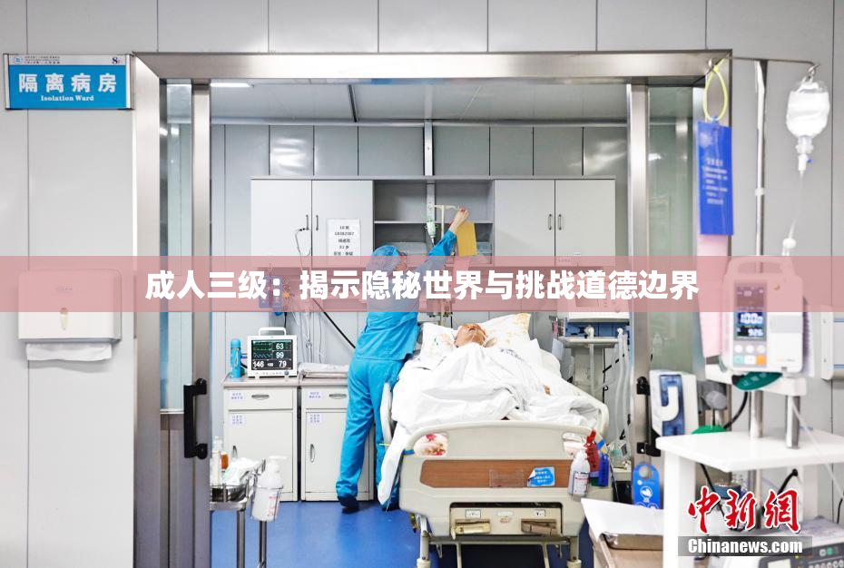 成人三级：揭示隐秘世界与挑战道德边界