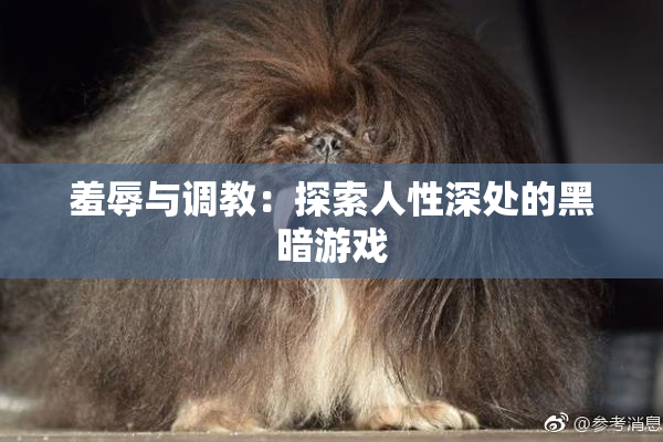 羞辱与调教：探索人性深处的黑暗游戏