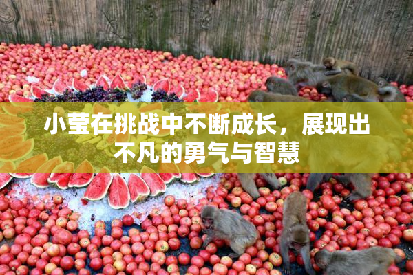 小莹在挑战中不断成长，展现出不凡的勇气与智慧