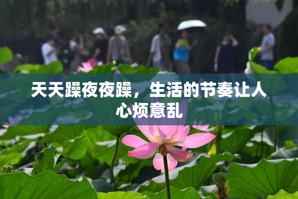 天天躁夜夜躁，生活的节奏让人心烦意乱