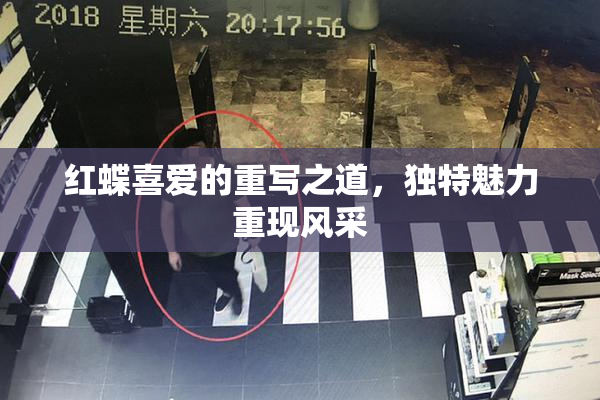 红蝶喜爱的重写之道，独特魅力重现风采