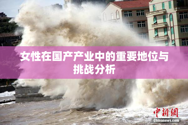 女性在国产产业中的重要地位与挑战分析