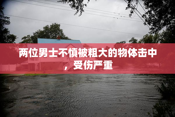 两位男士不慎被粗大的物体击中，受伤严重