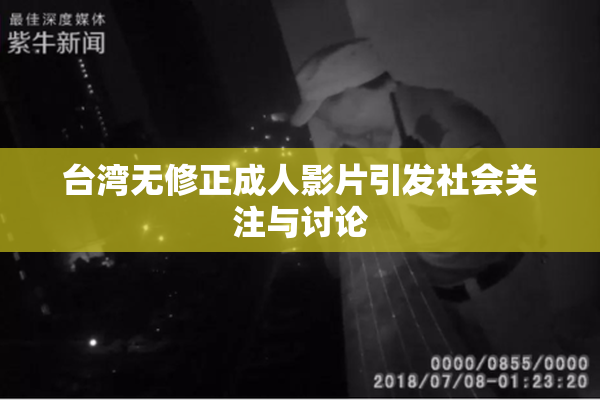 台湾无修正成人影片引发社会关注与讨论