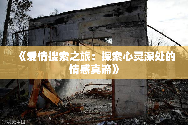 《爱情搜索之旅：探索心灵深处的情感真谛》