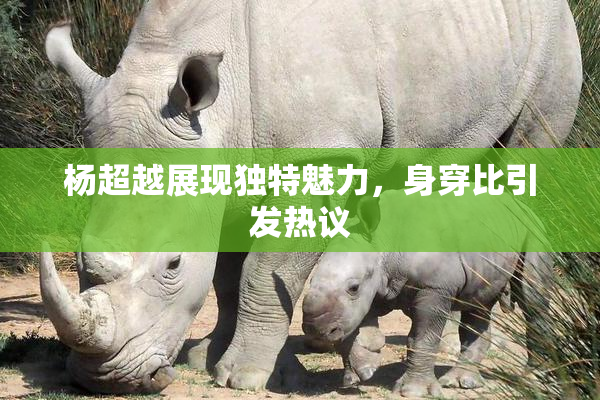 杨超越展现独特魅力，身穿比引发热议