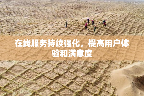 在线服务持续强化，提高用户体验和满意度