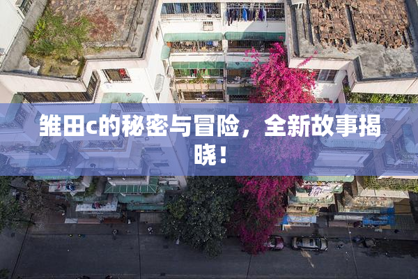 雏田c的秘密与冒险，全新故事揭晓！