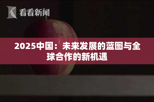 2025中国：未来发展的蓝图与全球合作的新机遇