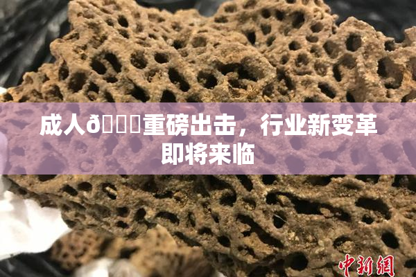 成人🔞重磅出击，行业新变革即将来临