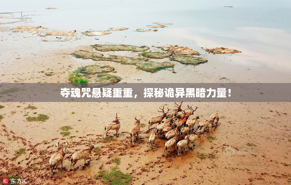 夺魂咒悬疑重重，探秘诡异黑暗力量！