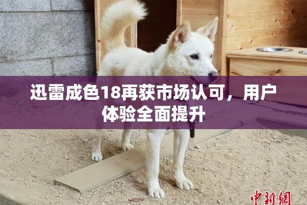 迅雷成色18再获市场认可，用户体验全面提升