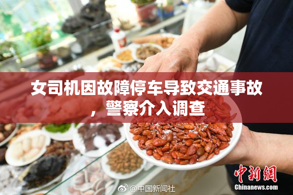 女司机因故障停车导致交通事故，警察介入调查