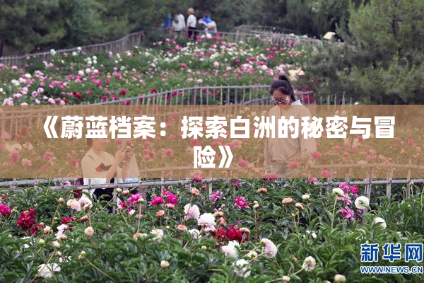 《蔚蓝档案：探索白洲的秘密与冒险》