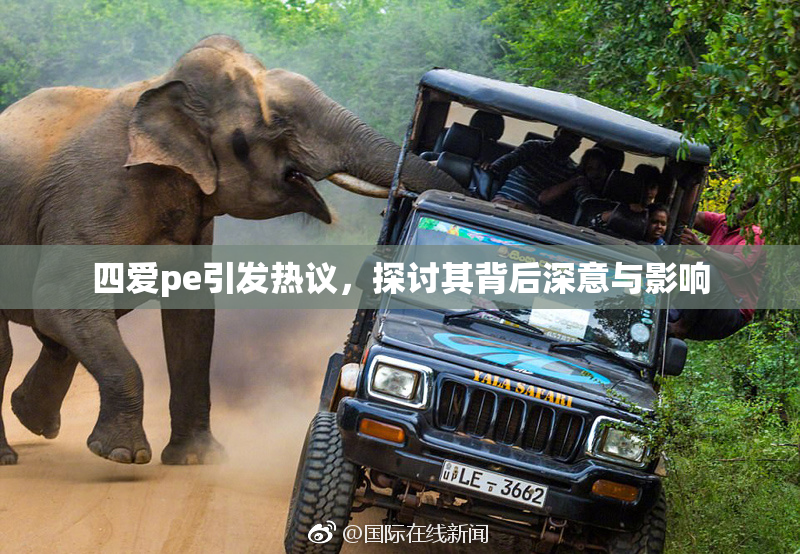 四爱pe引发热议，探讨其背后深意与影响