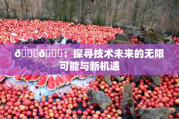 🔞🍆：探寻技术未来的无限可能与新机遇