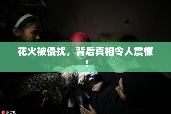 花火被侵扰，背后真相令人震惊！