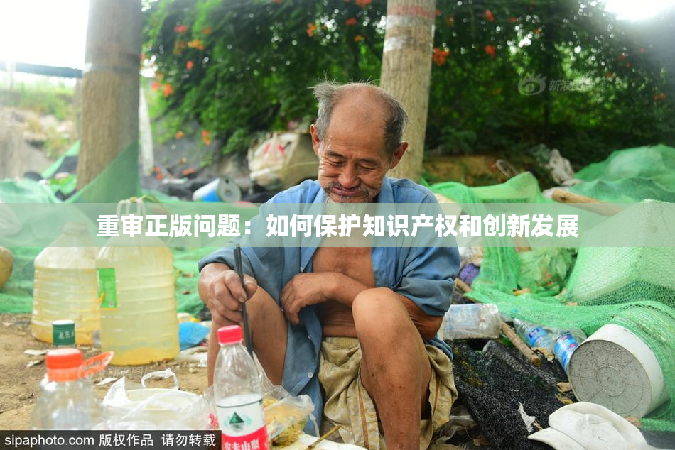 重审正版问题：如何保护知识产权和创新发展