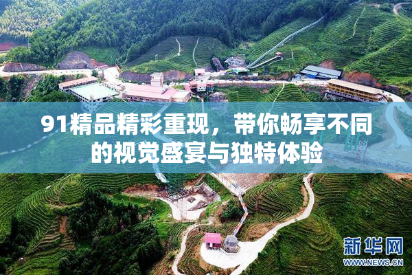 91精品精彩重现，带你畅享不同的视觉盛宴与独特体验