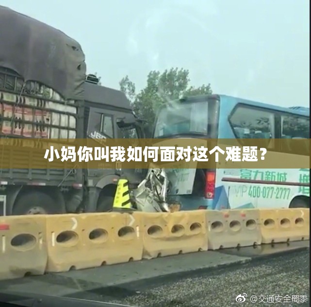 小妈你叫我如何面对这个难题？