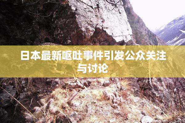 日本最新呕吐事件引发公众关注与讨论