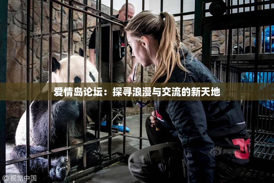 爱情岛论坛：探寻浪漫与交流的新天地