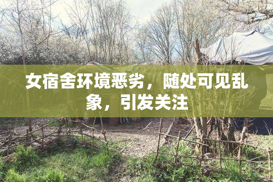 女宿舍环境恶劣，随处可见乱象，引发关注